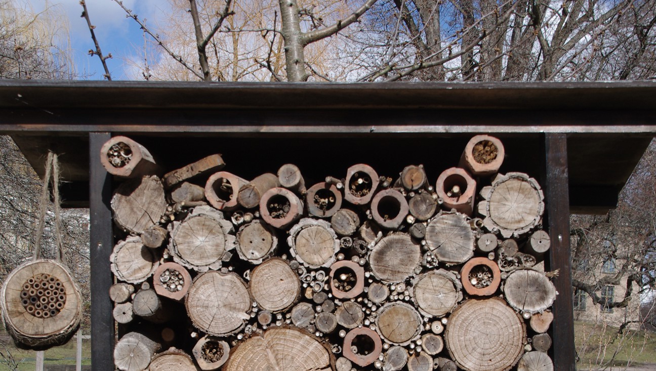 Oslo builds its bees a highway of flowers | Grist