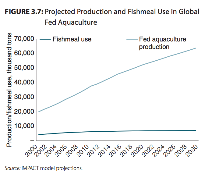 Everything you always wanted to know about fish farming but were afraid ...