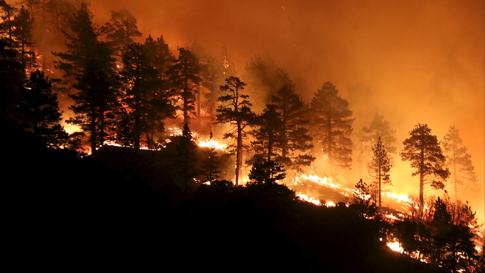 Los Angeles county firefighters battle wild land fire call the Pine Fire in Wrightwood, California July 17, 2015.