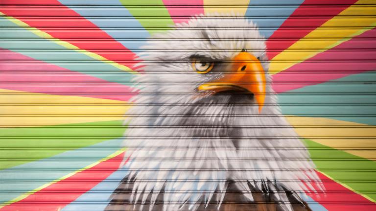 Painting of Bald Eagle by Peter Daverington. Photograph by Camilla Cerea / National Audubon Society.
