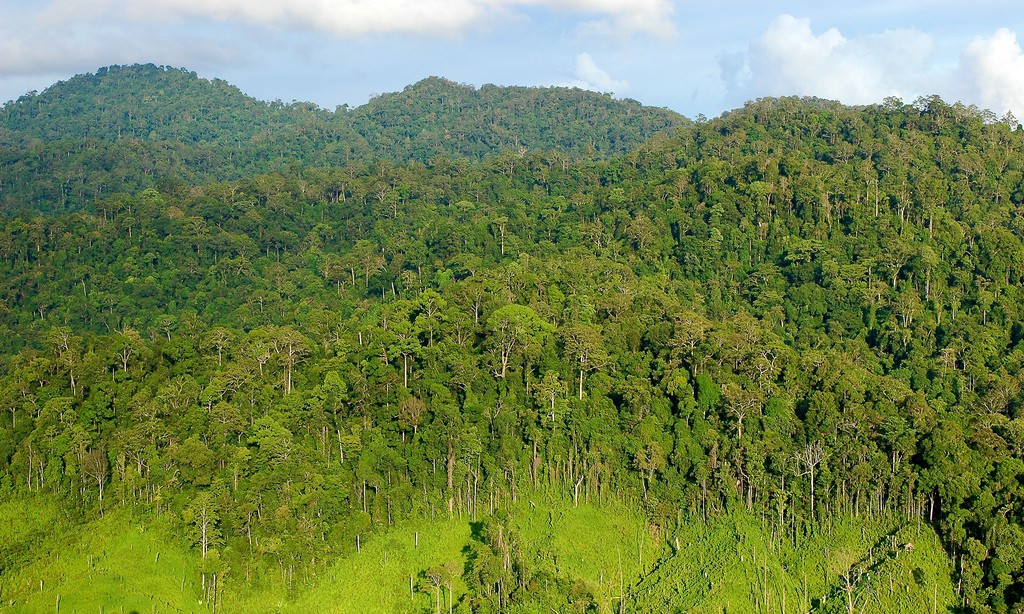Gunung Lumut, Kalimantan Timur, Indonesia, November 2005.