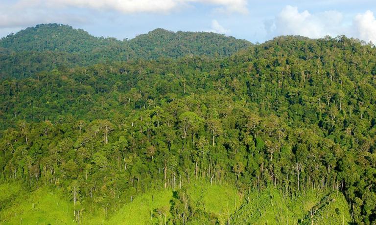 Gunung Lumut, Kalimantan Timur, Indonesia, November 2005.
