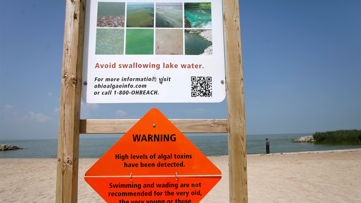 Signs displaying warnings about algae surfacing on the shore line are pictured at Maumee Bay State Park public beach along Lake Erie in Oregon