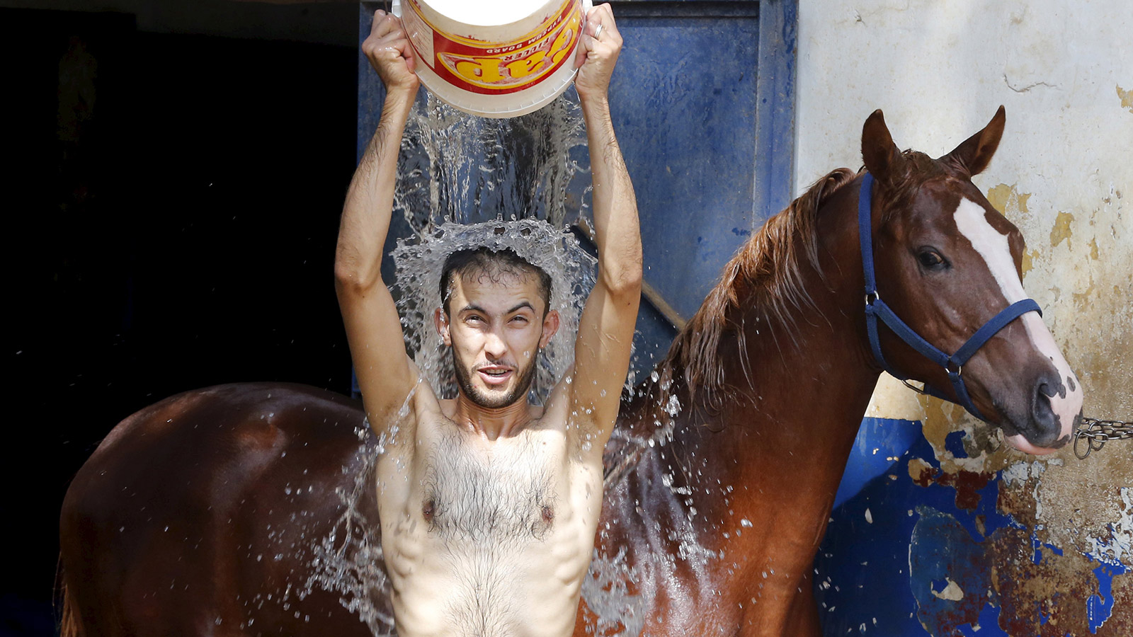 A man pours water over himself while washing a horse in order to cool it down as part of measures taken to ease the effect of a heatwave at the Beirut Hippodrome, Lebanon August 4, 2015.