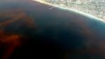 Red tide in La Jolla, California