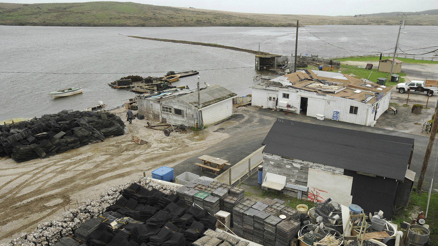 The oyster wars shed light on a bigger debate Grist