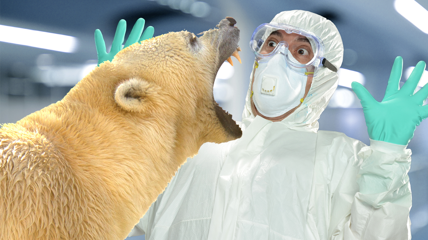 Polar bear about to eat a scientist