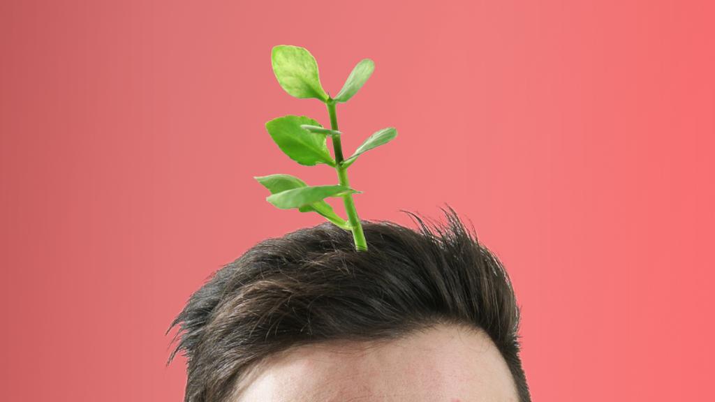 Sprout head