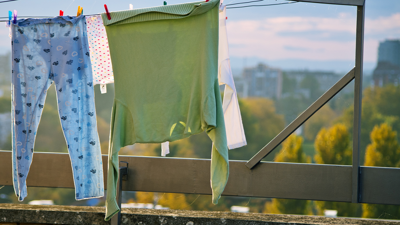 Victory! California guv signs bill to protect clotheslines