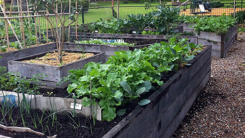 OF COURSE you want to plant a winter garden! Here's how to get started