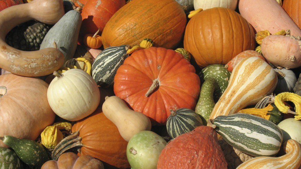 Here's how to cook and eat your leftover decorative gourds