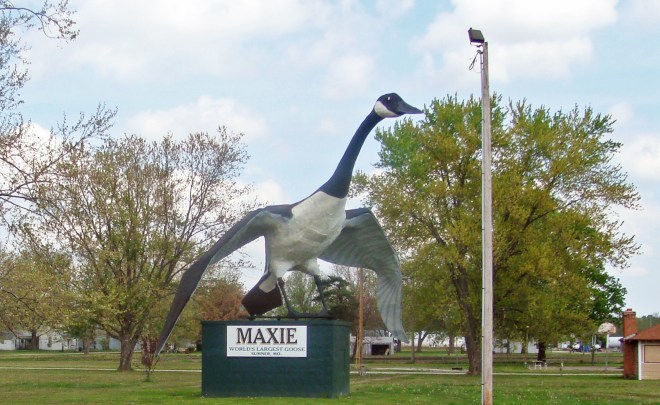 Maxie, the World's Largest Goose