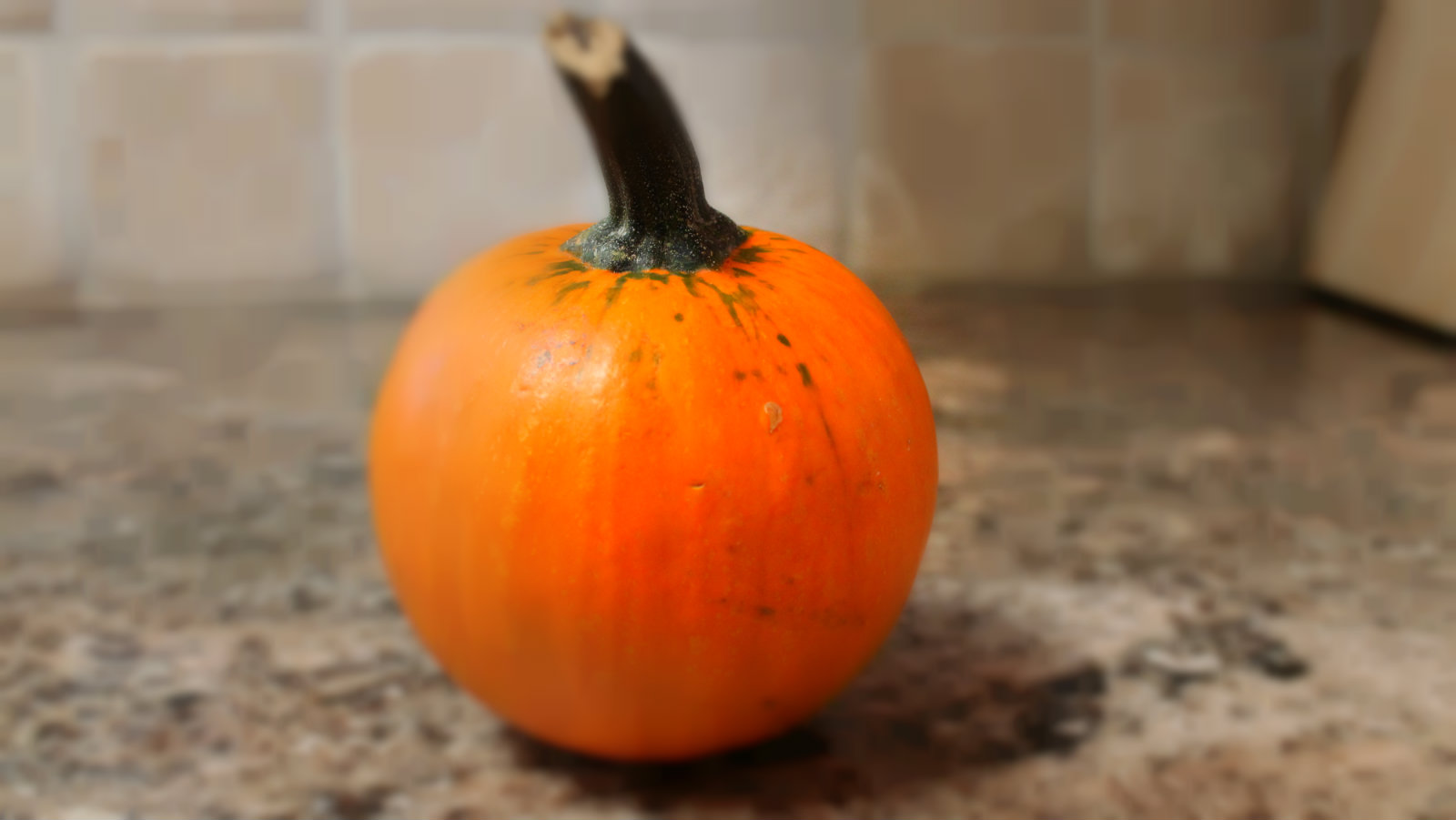 Here's how to cook and eat your leftover decorative gourds Grist