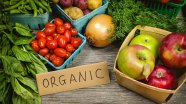 What Does Organic Food Actually Mean Grist