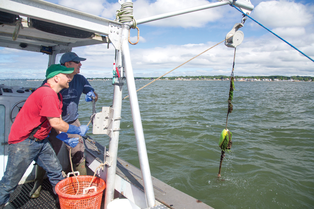 This "ocean farmer" could make you hopeful about the