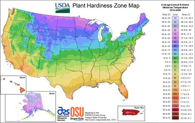 The USDA's zone map. What's your zone?