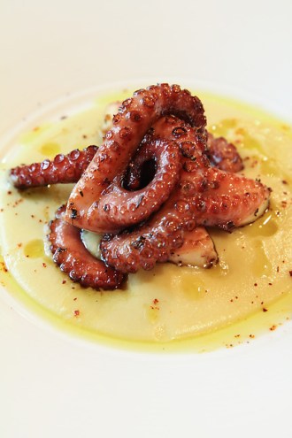 Teddy Diggs - Wood-Grilled Octopus, Passata di ceci, dried chili