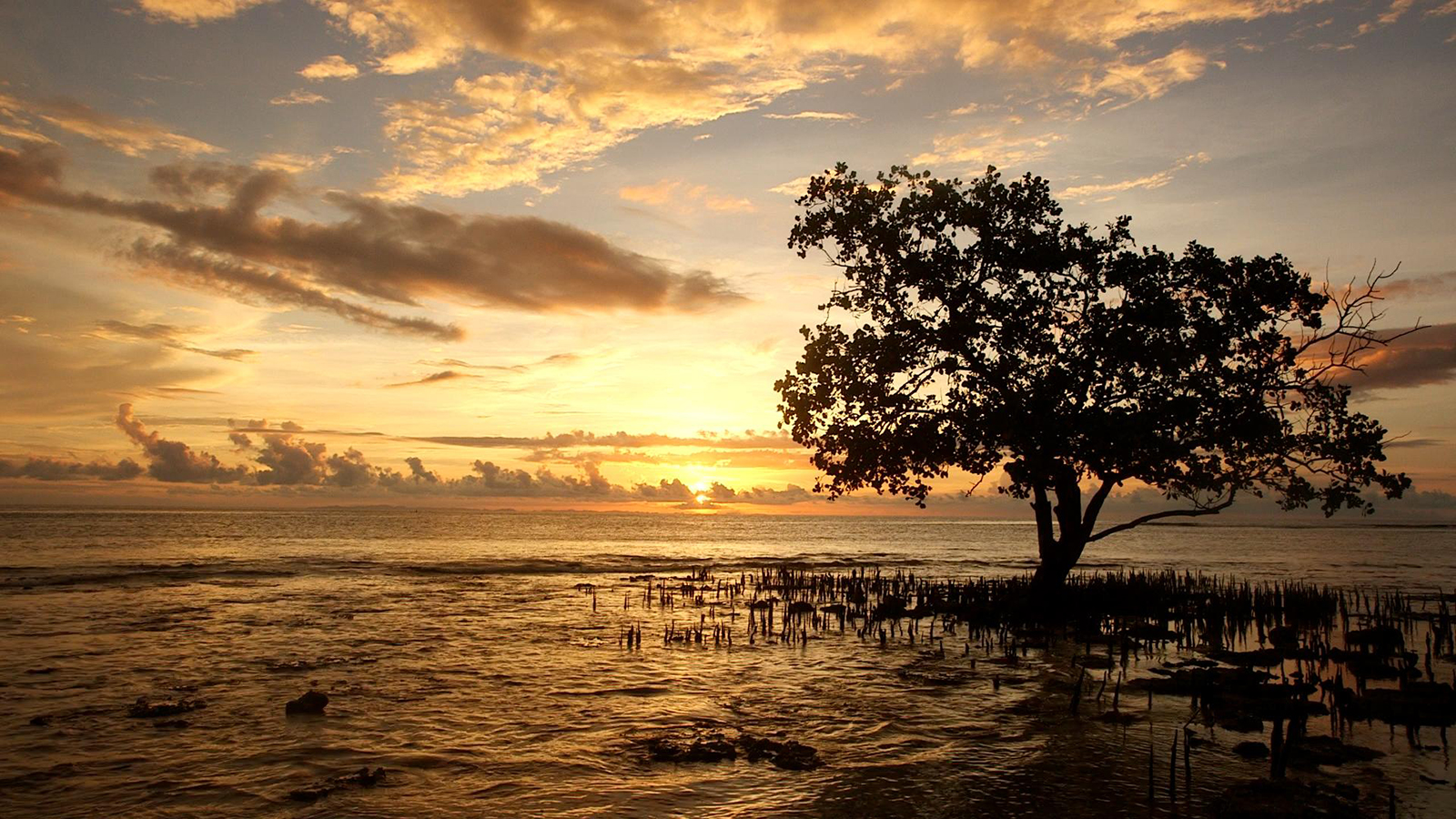 Nobody knows if climate change sunk these islands or not | Grist