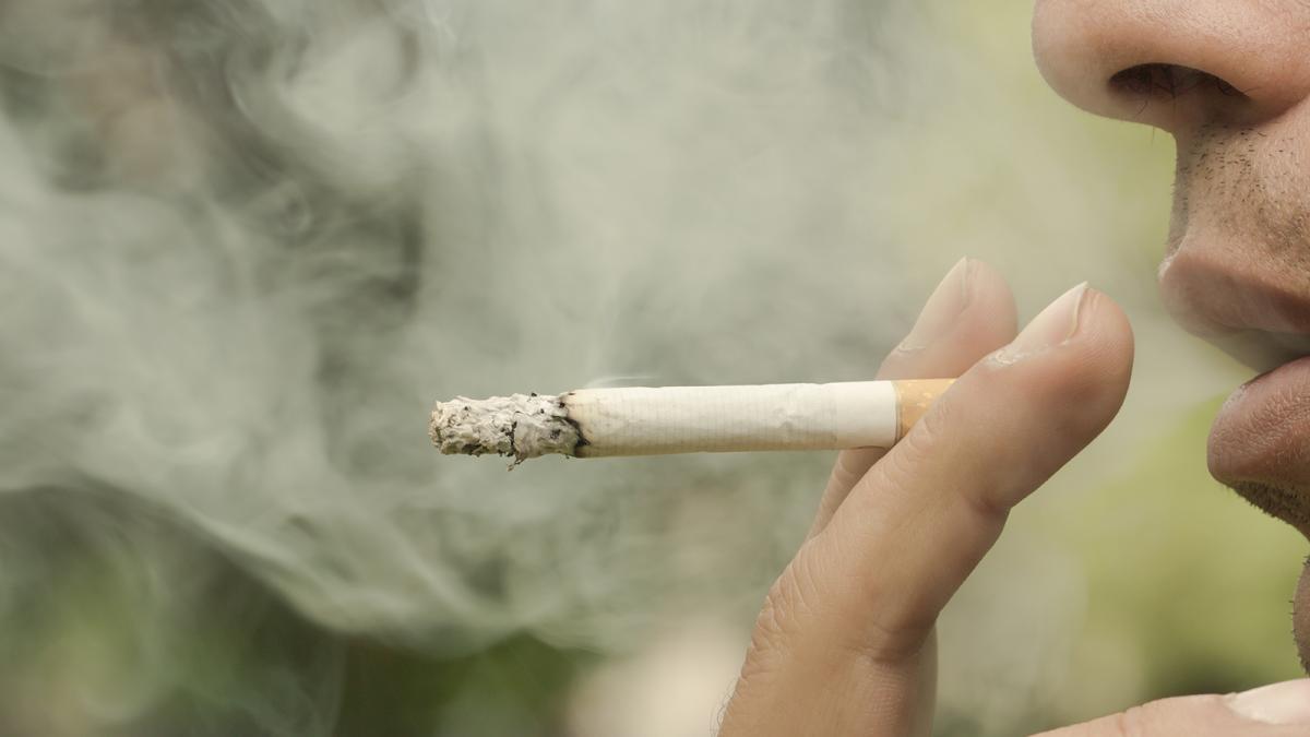 smoke cigarette Your cigarettes literally kill everything