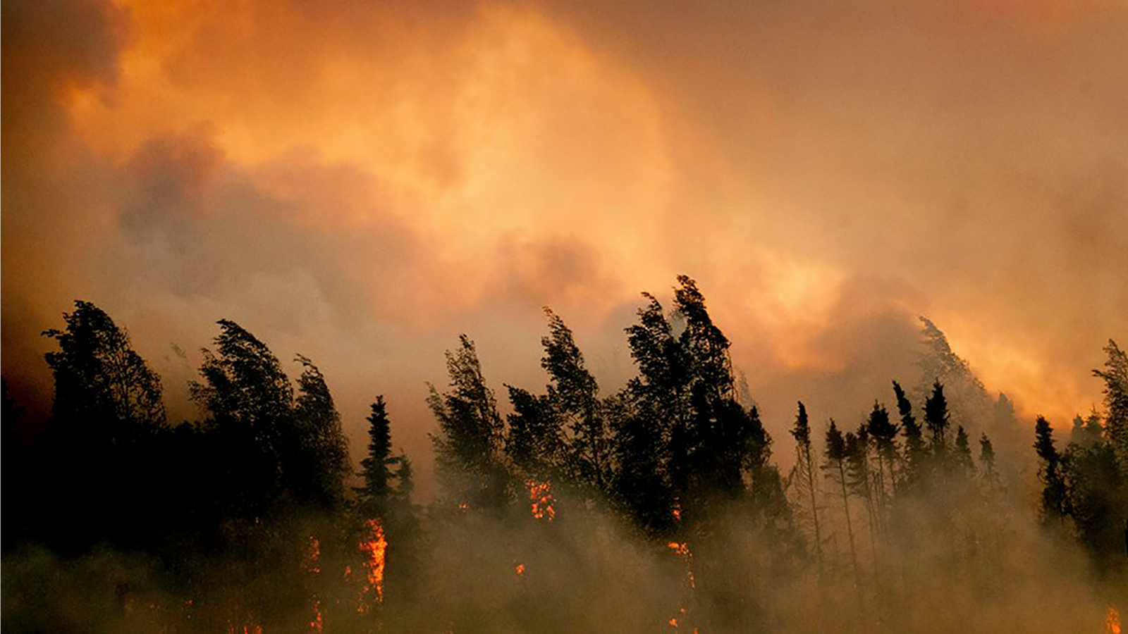 Alaska Wildfire 
