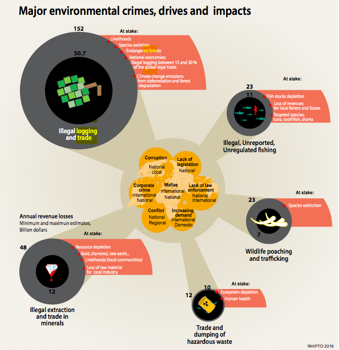 Environmental Crime Is Booming. Here’s How To Tackle It. | Grist