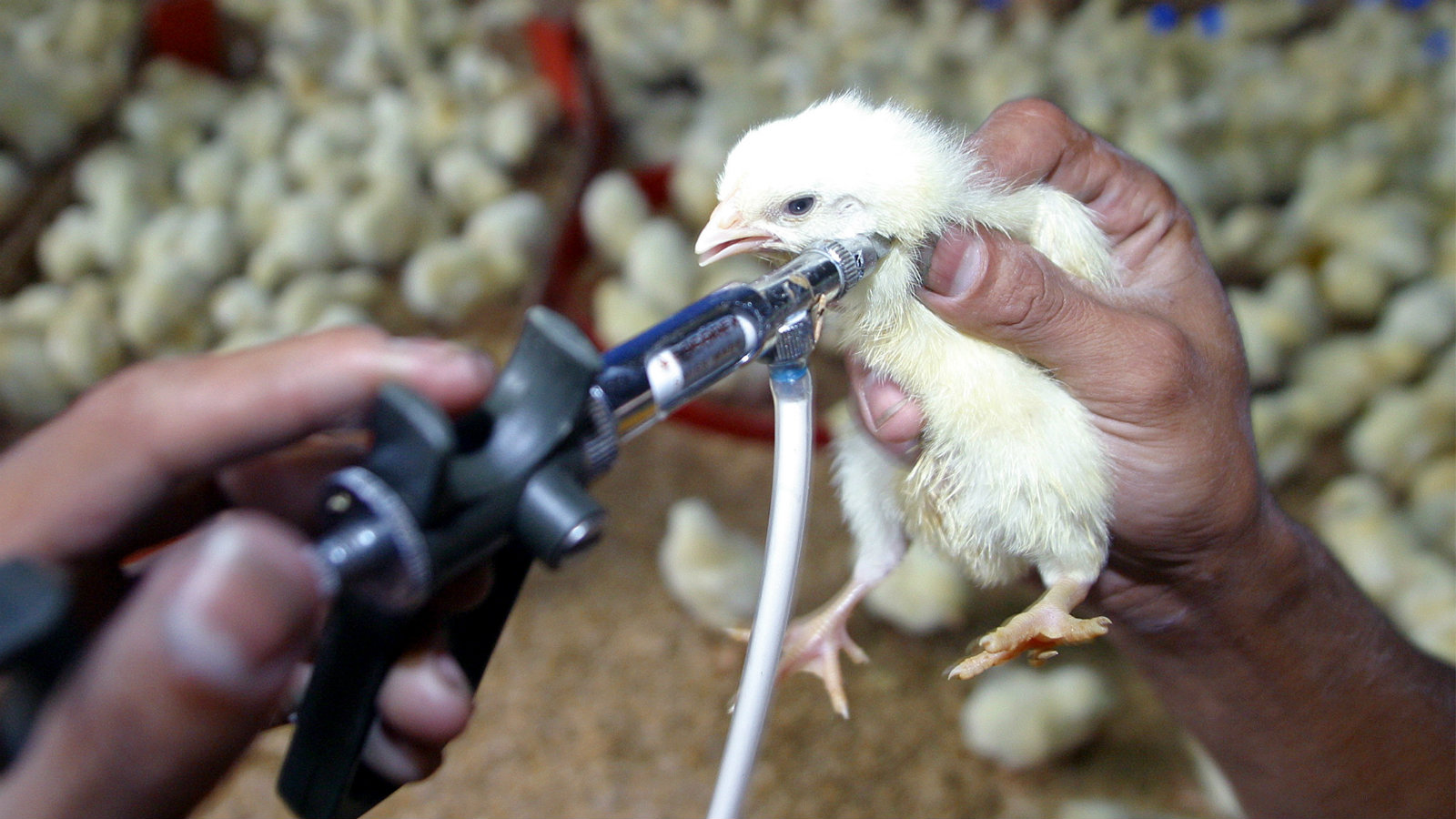 News Archives Page 268 of 684 Grist