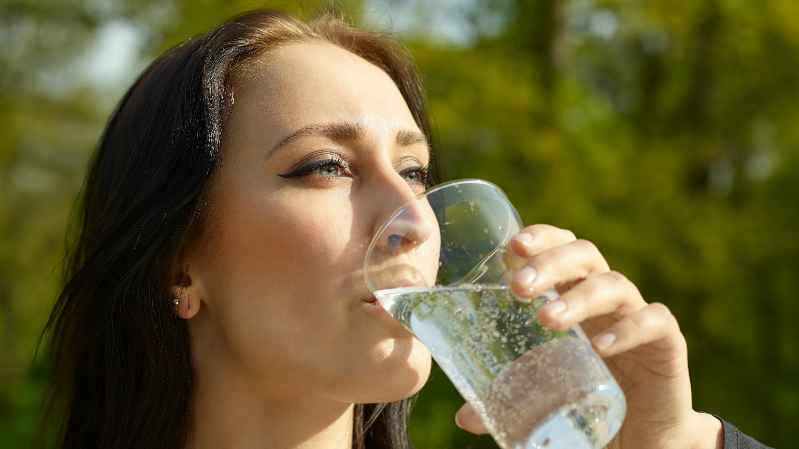 The Inside Story: SodaStream vs. The International Bottled Water  Association