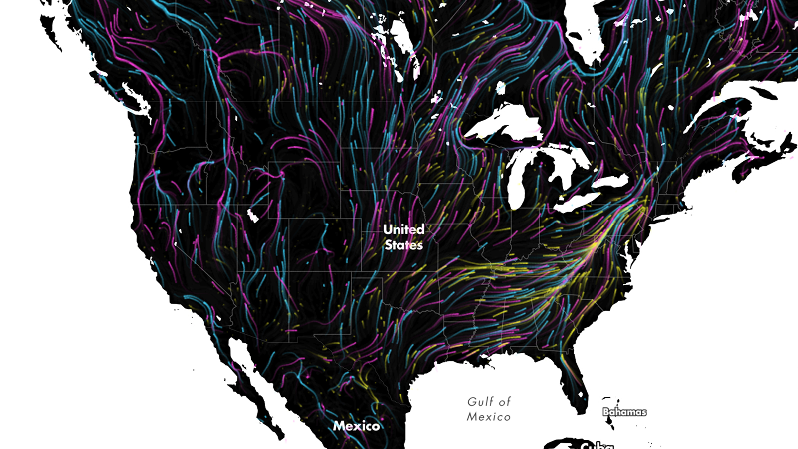 Beautiful map shows the future of animal migration | Grist