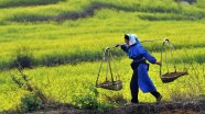 China s 450 Billion Farm Plan Could Determine Our Fate Grist