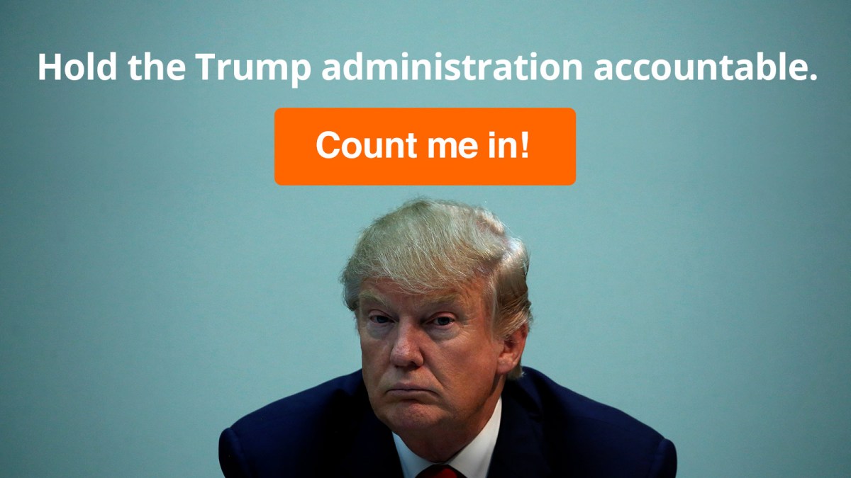 Help with my popular reflective essay on donald trump 08 image