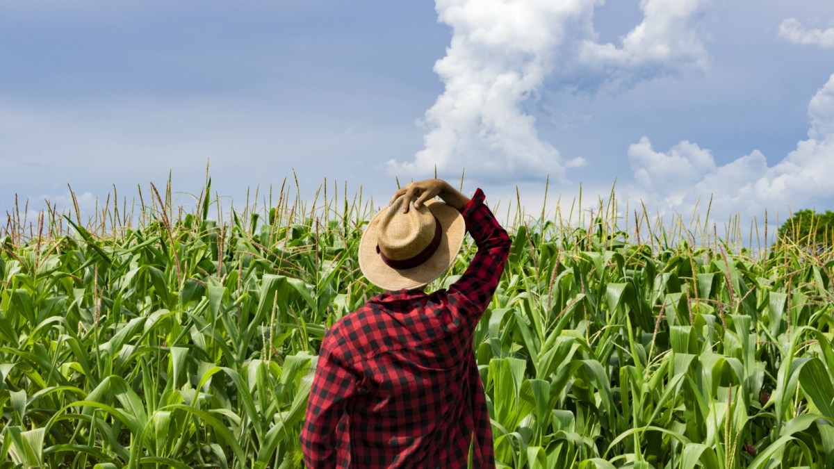 Farmers could lead the way on climate action. Here’s how. | Grist