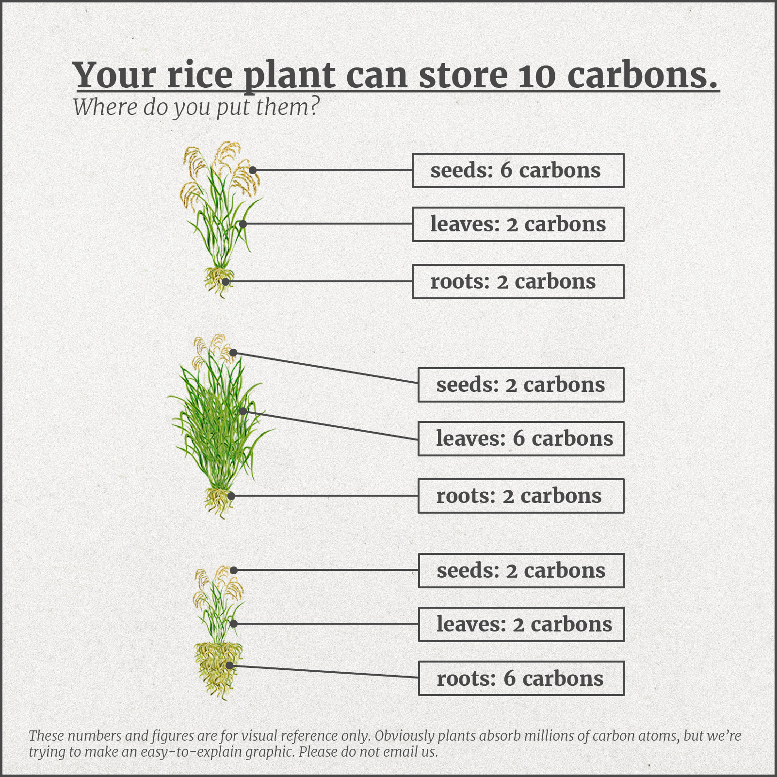Carbon plants