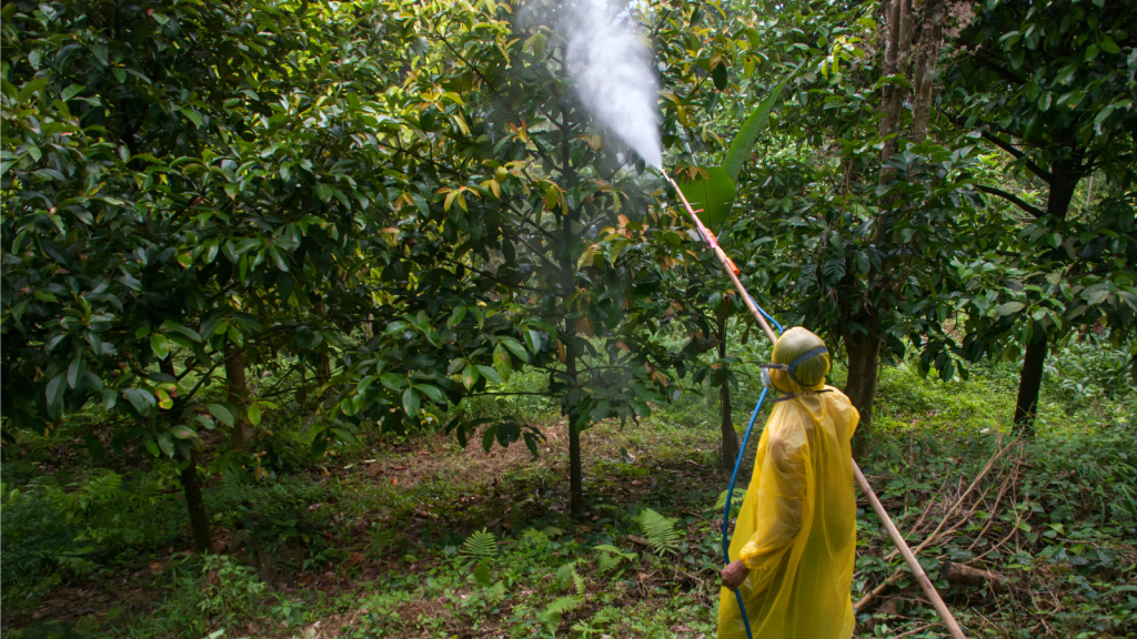 In California, families fear pesticide poisoning after EPA reverses ban