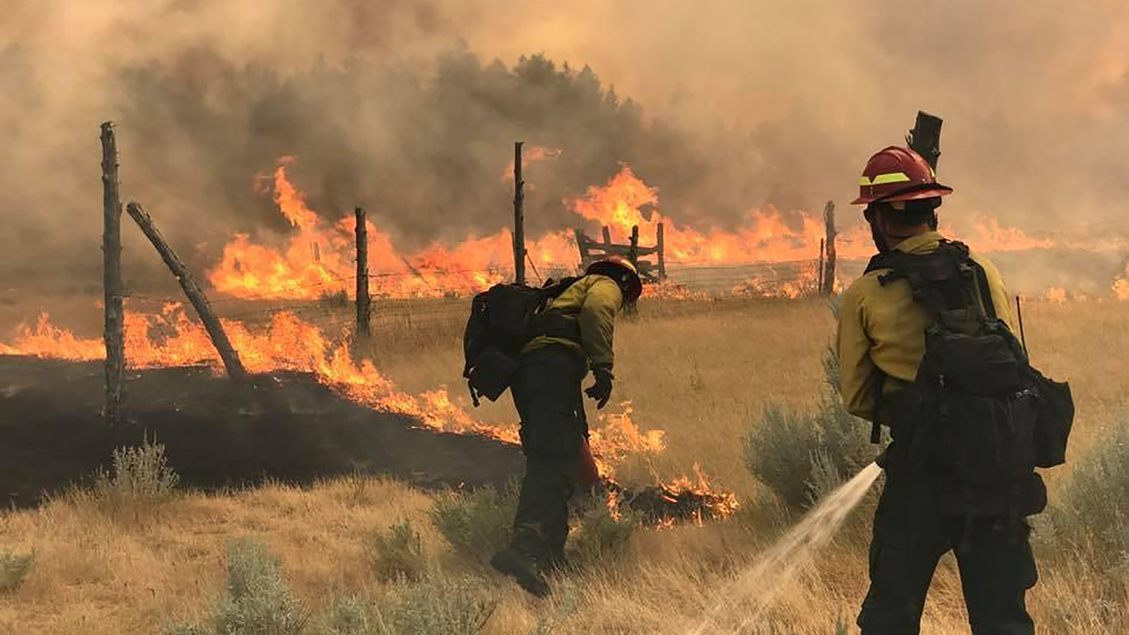 Огонь экипаж. Монтана пожар. Wildfire Firefighter. Fire incident.