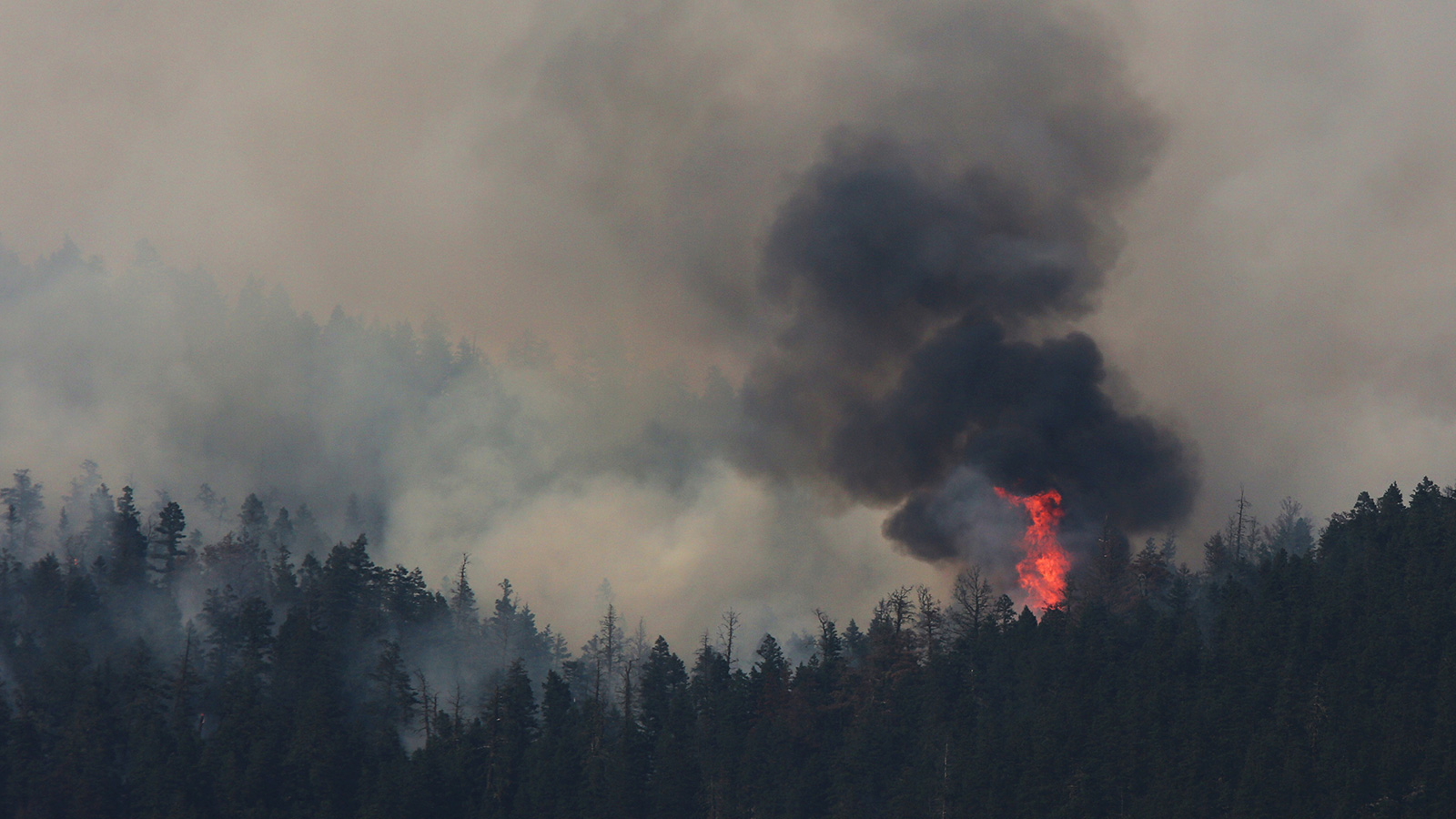 The Pacific Northwest S Fiery Week Warns Of Hotter Times To Come Grist   British Columbia Fire 