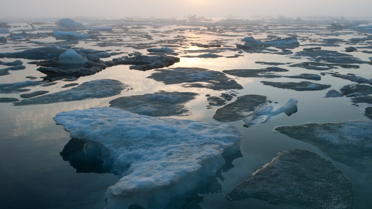 6 threats to the Arctic Refuge Grist