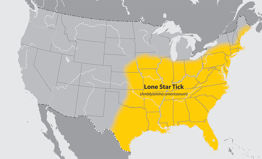 Meet the tick that's forcing Americans to give up their meat Grist