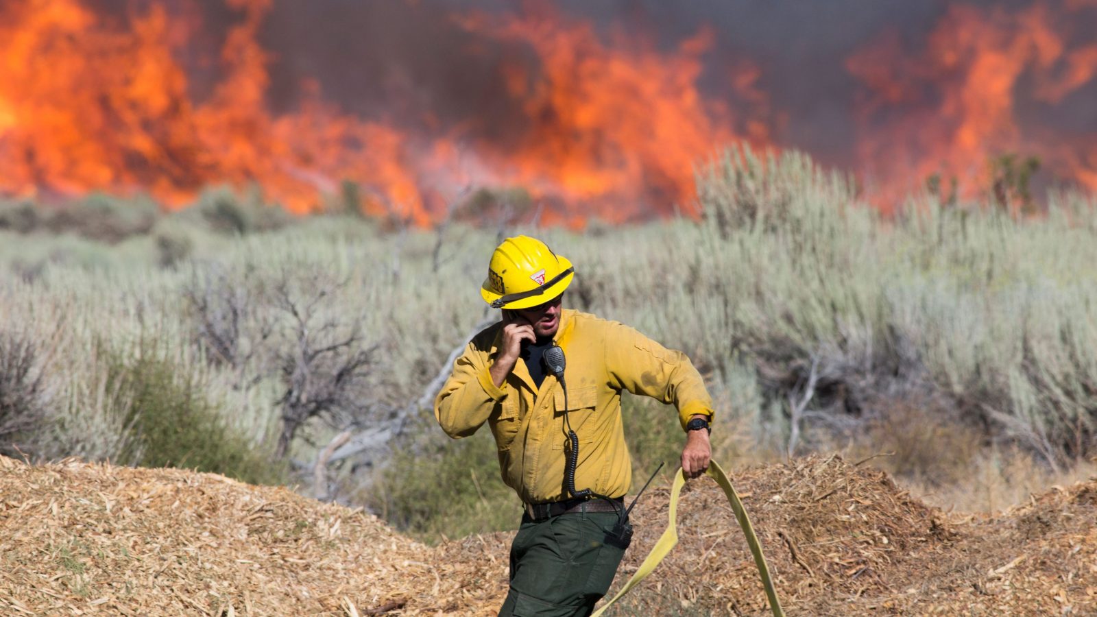 What Words Describe Climate Change