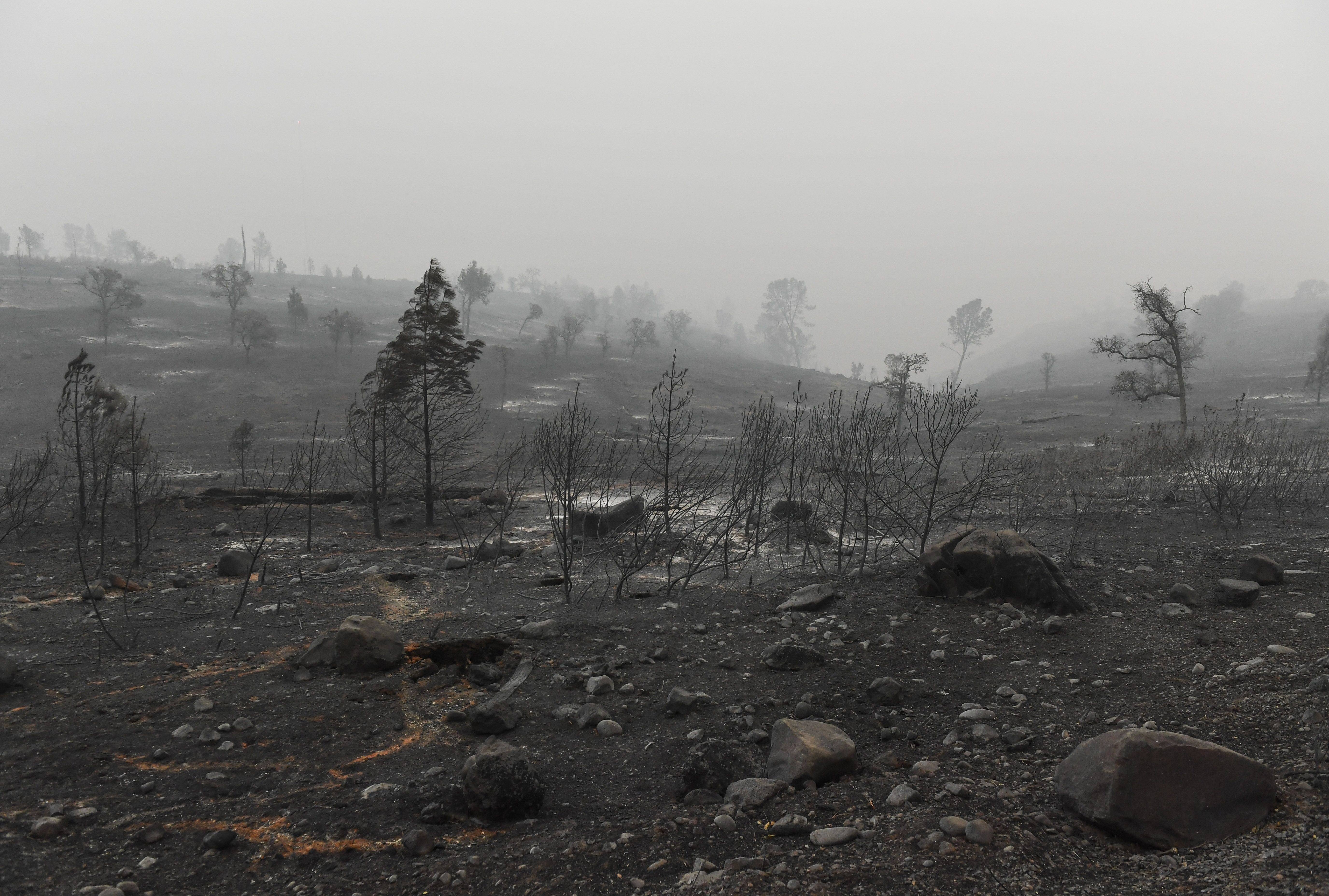 Scene of destruction after the Camp Fire in Paradise, California.