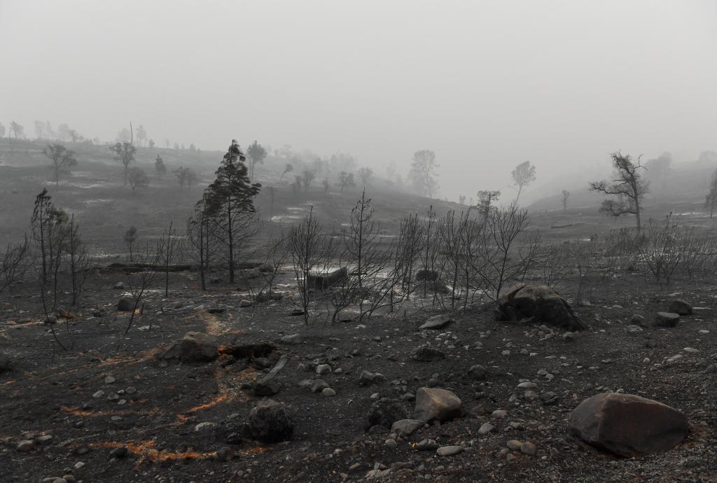 Scene of destruction after the Camp Fire in Paradise, California.