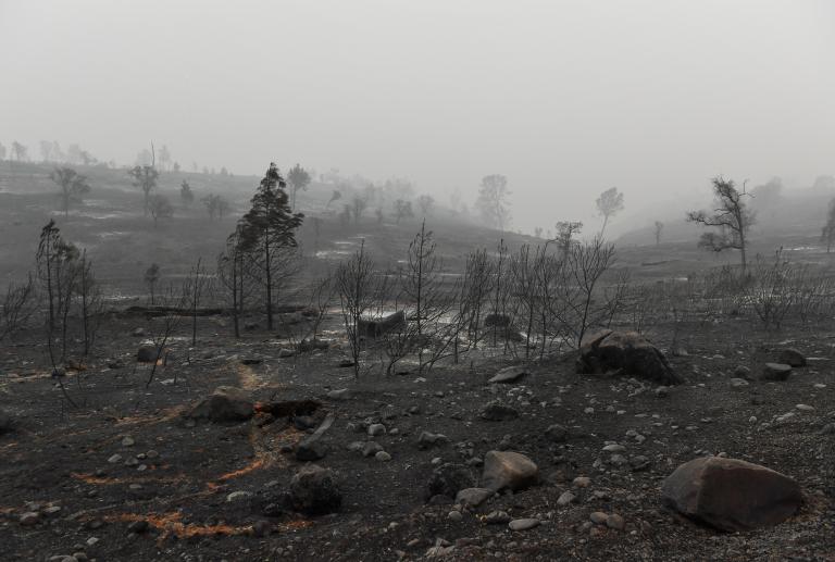 Scene of destruction after the Camp Fire in Paradise, California.