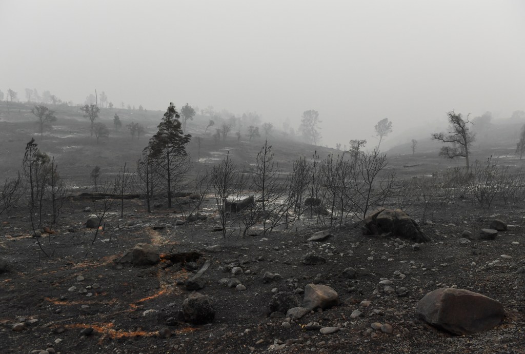 Scene of destruction after the Camp Fire in Paradise, California.
