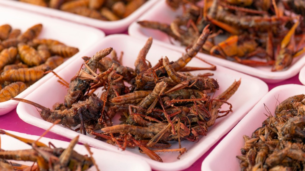 Plates of insects for sale in market