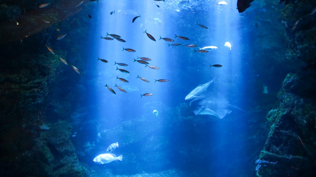 The Debate Is Over The Oceans Are In Hot Hot Water