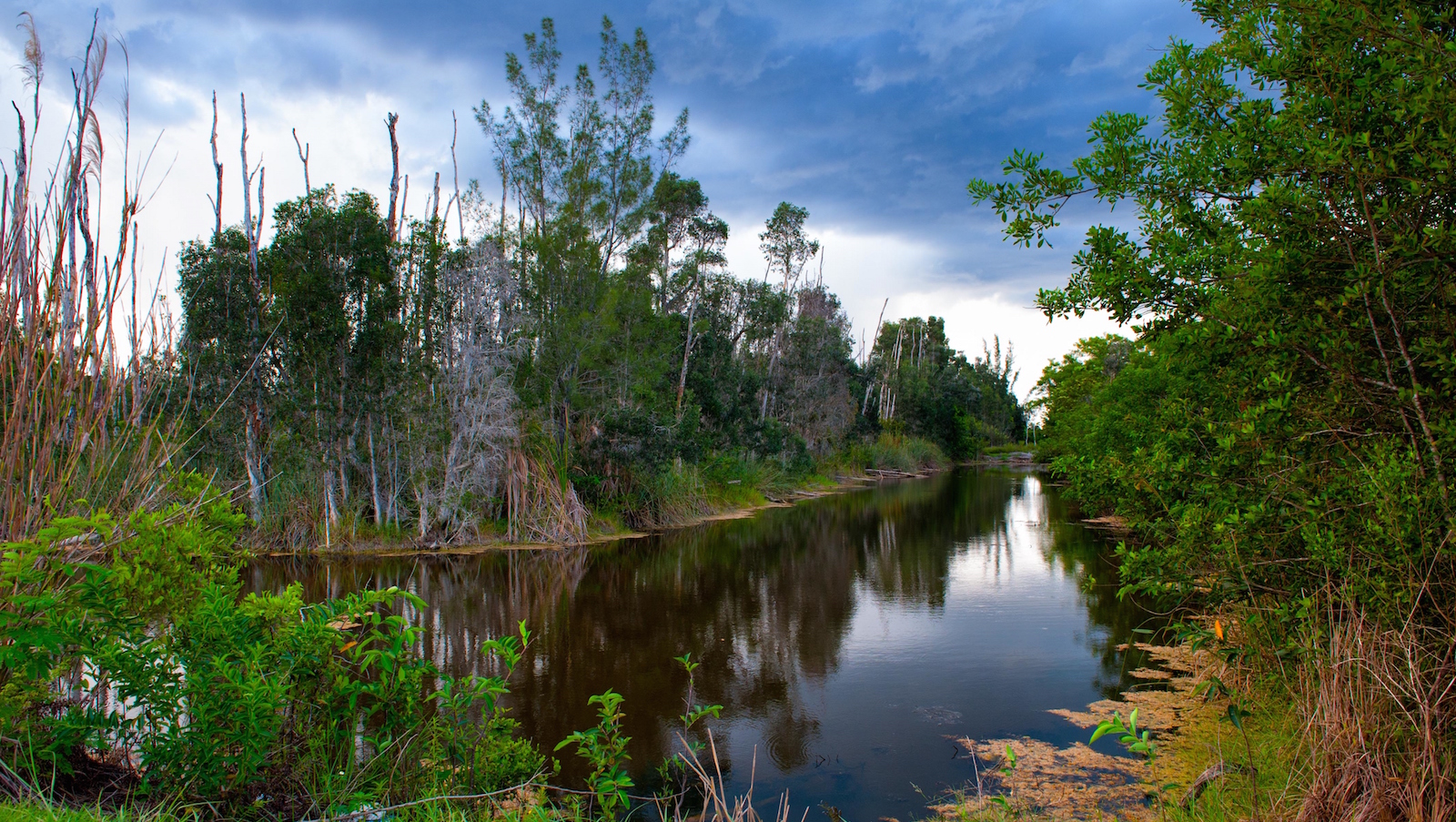 Waterway part of the Everglades.