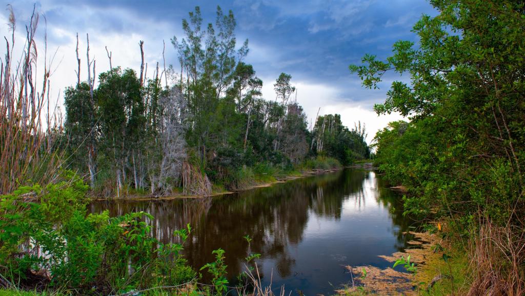 Waterway part of the Everglades.