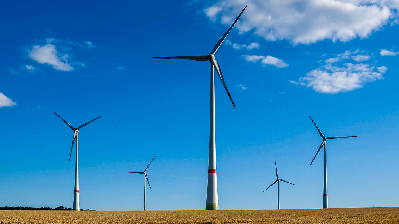 Want to reduce your carbon footprint? Buy clean energy | Grist