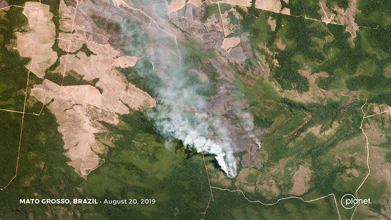 Amazon Fires Satellite Images Show What S Happening In Brazil