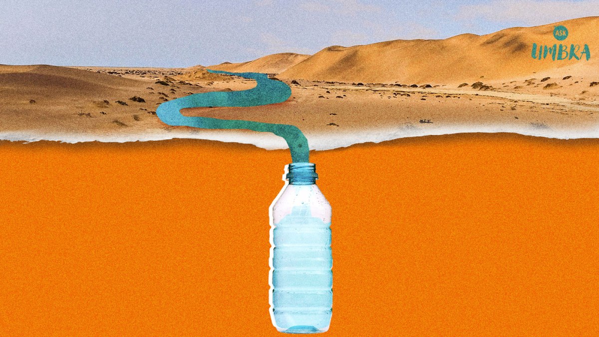 https://grist.org/wp-content/uploads/2019/08/umbra-bottled-water.jpg?w=1200