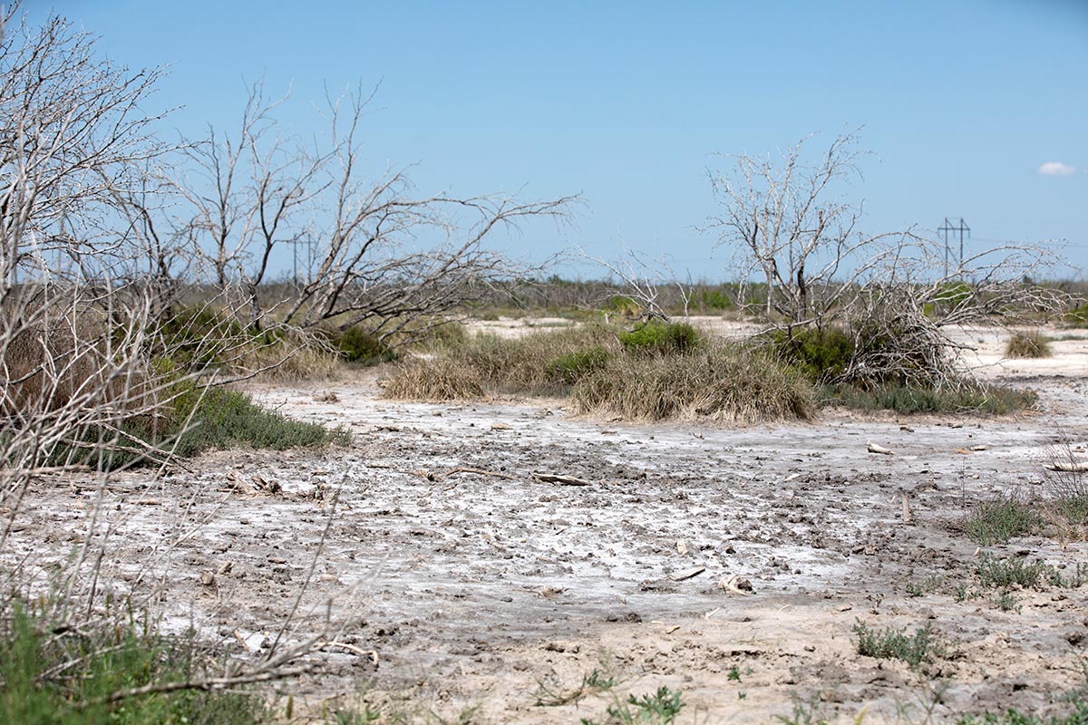 Texas coal companies are leaving behind contaminated land. The state is letting them. Grist